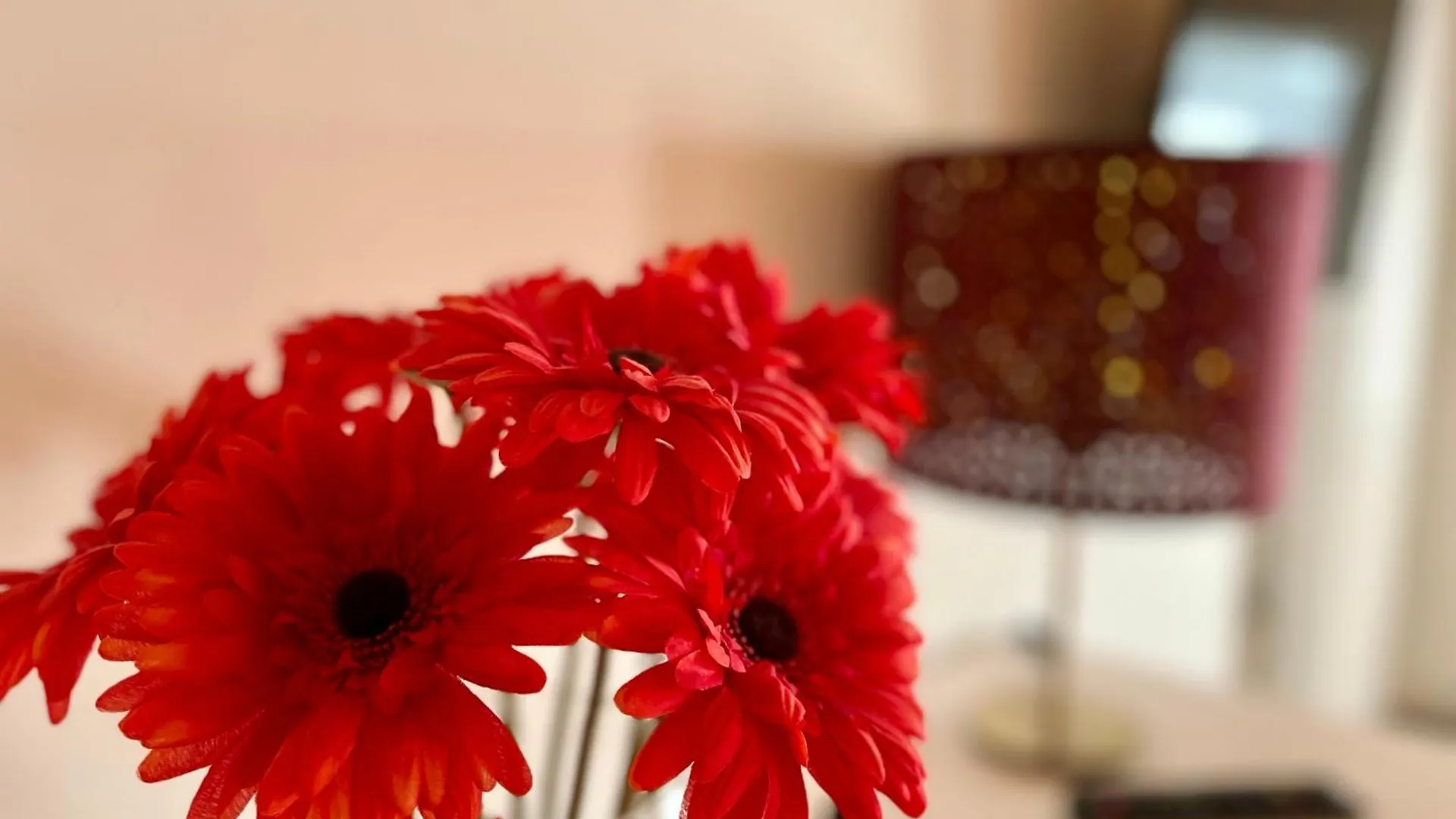 Villavecchia Castegnero Bed & Breakfast